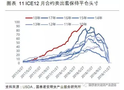 NBA新秀年龄对比：年轻球员如何塑造未来赛季表现