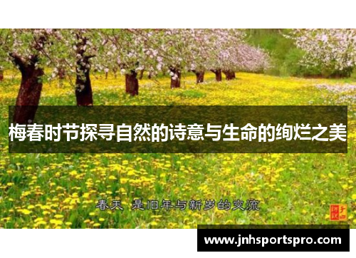 梅春时节探寻自然的诗意与生命的绚烂之美